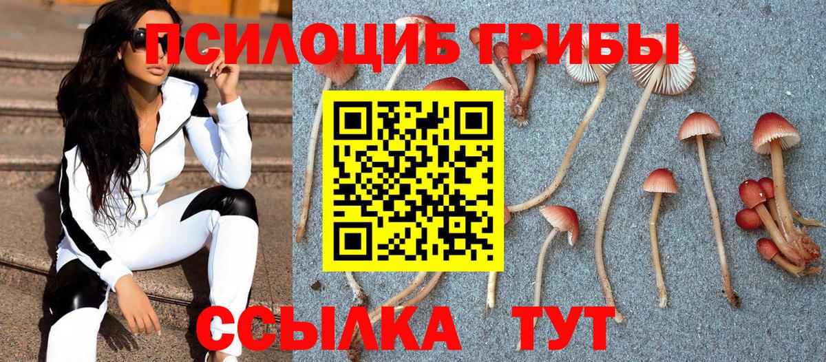 Галлюциногенные грибы Psilocybine cubensis  Вход с VPN  Россошь 