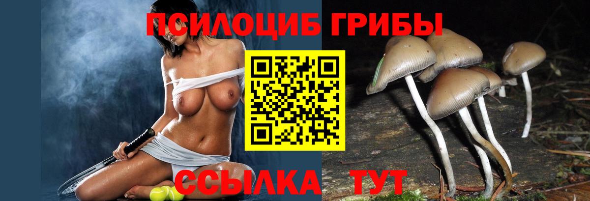 Галлюциногенные грибы Cubensis Россошь